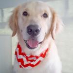 Handsome Eddie