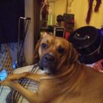 Recent Photo 14mos old