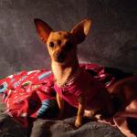 I love my piki pictures