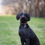 Shadow off duty photo session