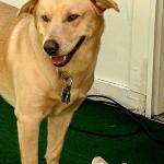 My best friend Jax Davis