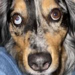 Sophie with a perfectly divided face