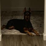 Pretty girl Mia sands