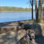 Anubis Ma’at Lakeside