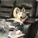 My Aurora on picture day
