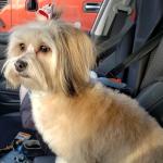 Bath and hair cut. 2bits! Lol