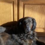 Raph Enjoying some down time.