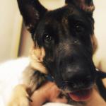 That head tilt! ?