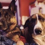His best friend.