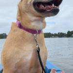 RoxieBradleyKayaking