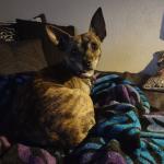 Curious, what's going on?