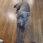 She's a grown so well