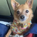 BoraBora is the gem and the joy of my life!