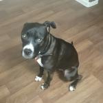 Ebony Full Body Shot