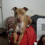 Nala Angel girl