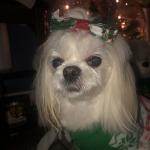 Pebbles Caban Lopez