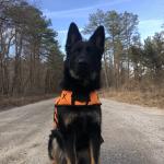 Tank helps keep my anxiety at bay