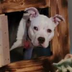 Gypsy Kernel Timeout