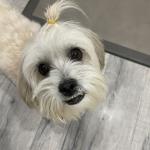 Jiggy Chan The big boy