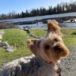 Margo Chan the baby girl