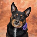 One Rainy Day in the Neighborhood