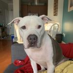 Mommy give me a treat!