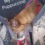 A Treat For a Hard Day of Work