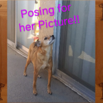 Fun Time & Posing Time