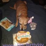 It's my Birthday today