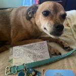 All Updated For New Home Move In