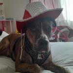 My baby girl sasha with her dad