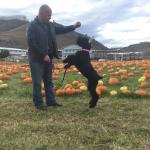 Arya on the farm playing with dad at about a year old