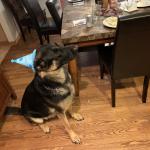 Tug’s 2020 Birthday