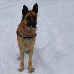 Lola is a cherished part of our family