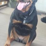 Mommy’s Fur Baby!!!