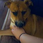 Posing for her picture