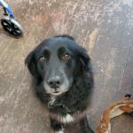 Sahara looking so sweet!