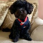 My little man Nova *