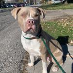 This is my ESA Reggie