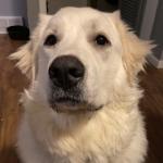 Esme Robinson  waiting to help mom