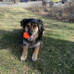 Happiest when we can play ball.