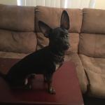 Radar on Table While Exercise