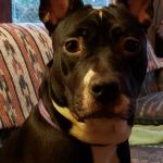 Ms.Pixie Dot Wilkerson