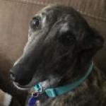 Maddie is the sweetest girl