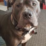 My Handsome boy