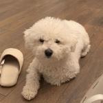 profile photo of seven