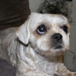 A PICTURE IS JUST A PICTURE BUT WHEN U PUT YOUR OTHER HALF IN IT, THAT IS A DIFFENT STORY ALL TOGETHER, AND SANDY IS HER NAME!