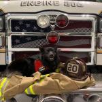 A pierce fire truck with my boy pierce on it