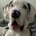 He has grown and isn’t small anymore