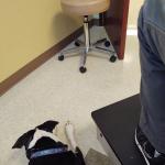 1st time in a doctor's office